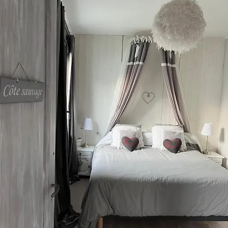 Vintage Voyage رويا